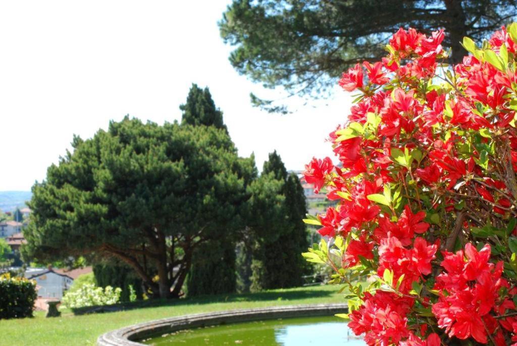 Villa Rossini Tavernerio 외부 사진